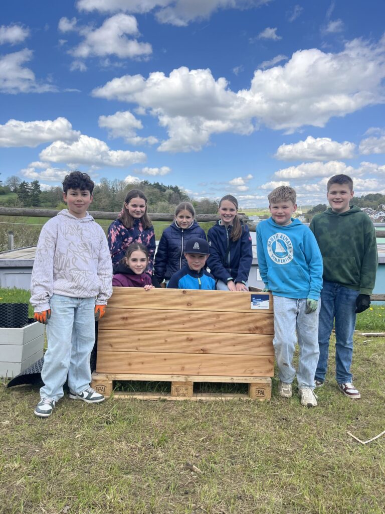 Hochbeet der Volksbank pur